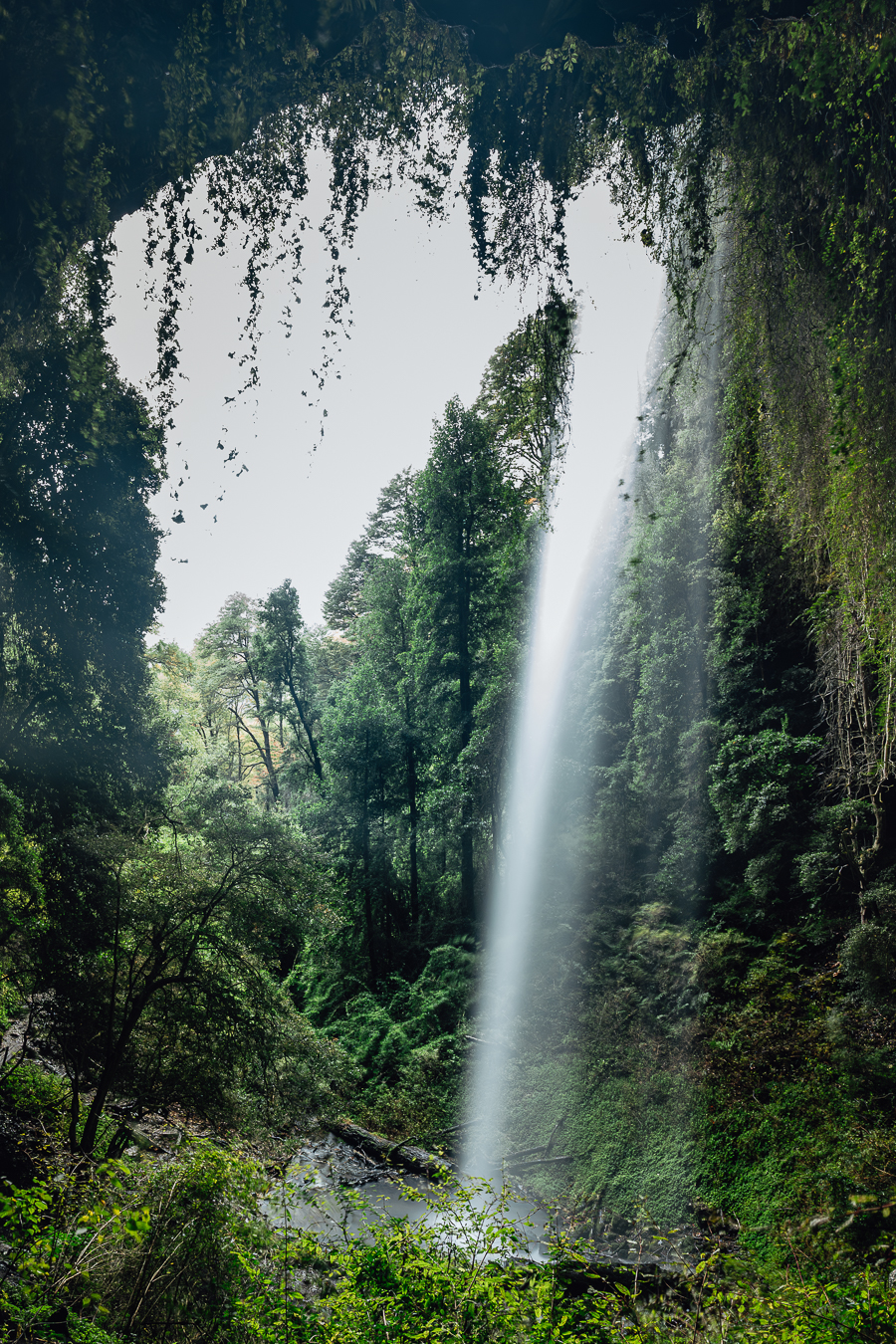 Cascada vertical en bosque de Curarrehue